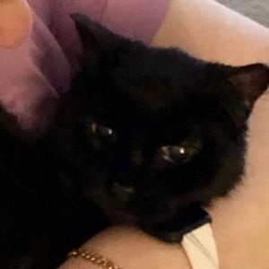 Meet your Posher, Jami